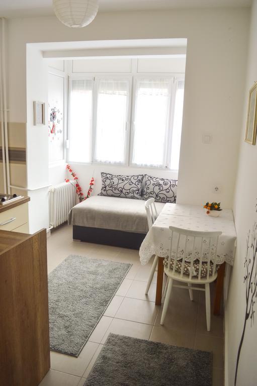 נובי סאד Apartment Riverside Gem מראה חיצוני תמונה